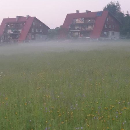 Apartament Wrzos Bieszczady Czarna  Luaran gambar