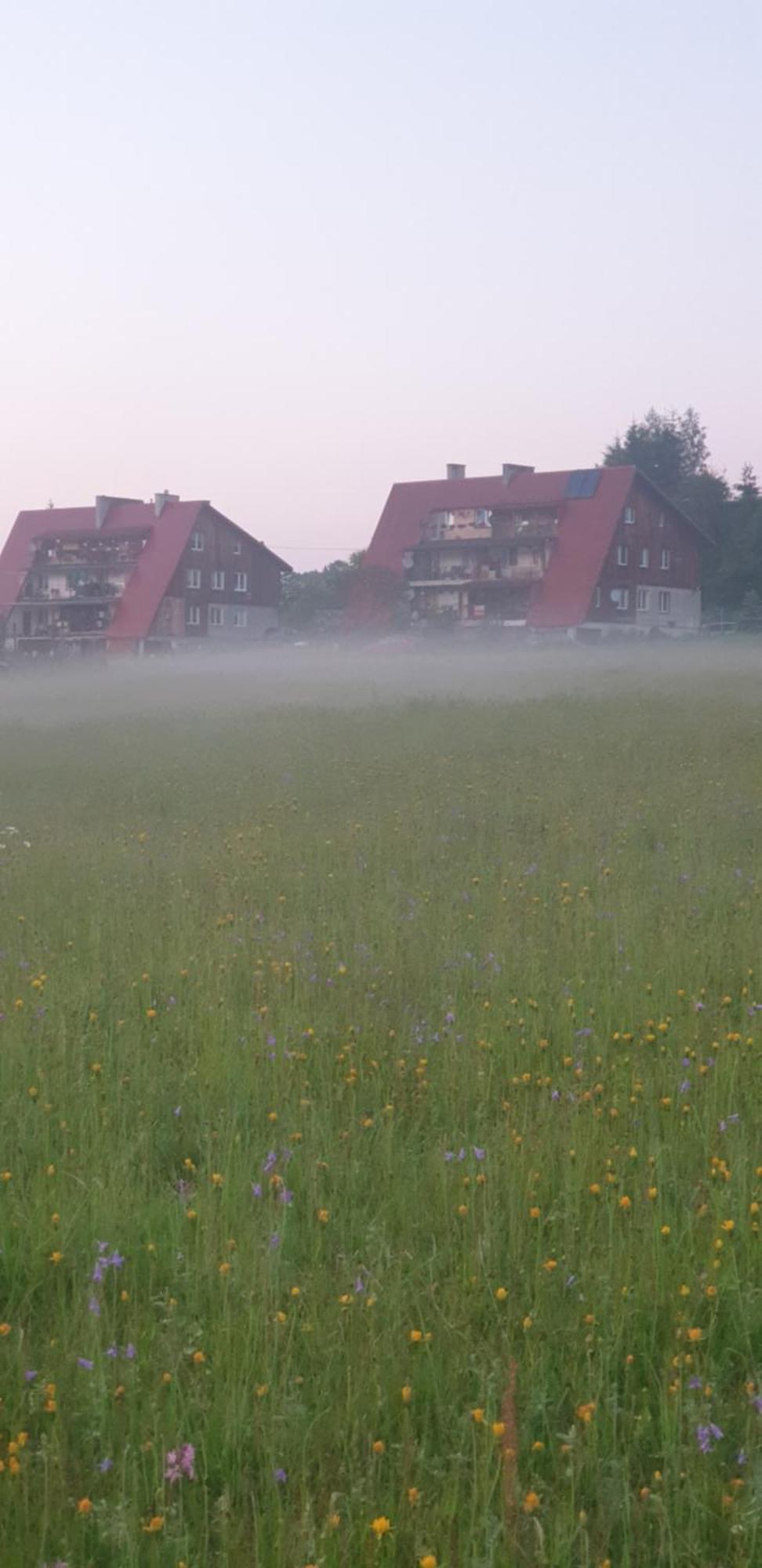 Apartament Wrzos Bieszczady Czarna  Luaran gambar